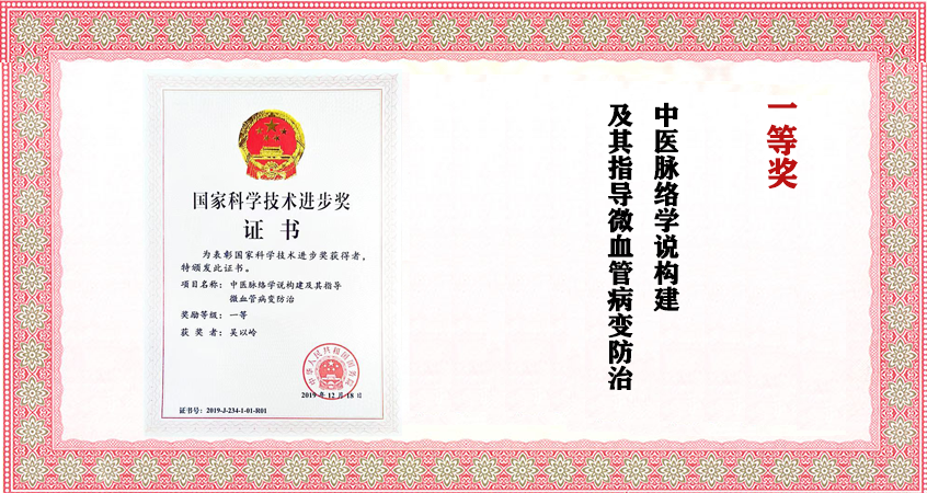 国家科技进步一等奖：中医脉络学说构建及期指导微血管病变防治